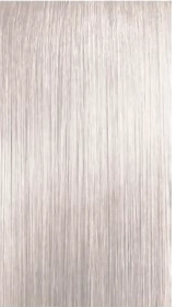 10.011.webp