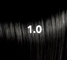 1.0.webp