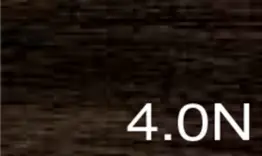 4.0N.webp