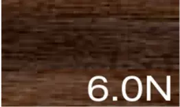 6.0N.webp
