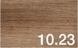 10.23.webp