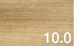 10.0.webp