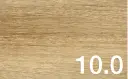 10.0.webp