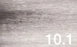 10.1.webp