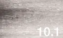 10.1.webp