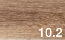 10.2.webp