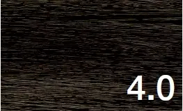4.0.webp