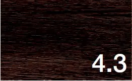 4.3.webp