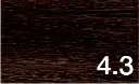 4.3.webp
