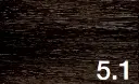 5.1.webp