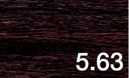 5.63.webp