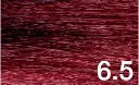 6.5.webp